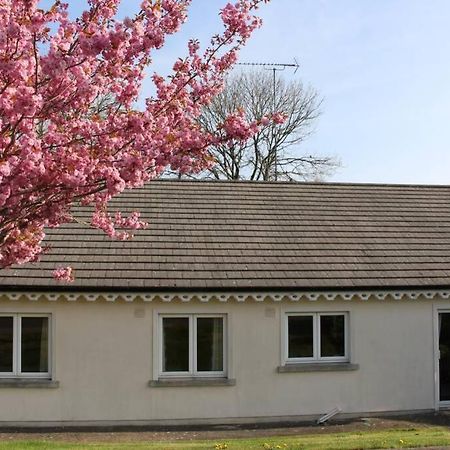 Sunny Bungalow Courtown Esterno foto