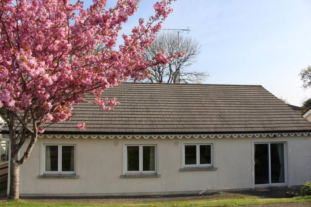 Sunny Bungalow Courtown Esterno foto