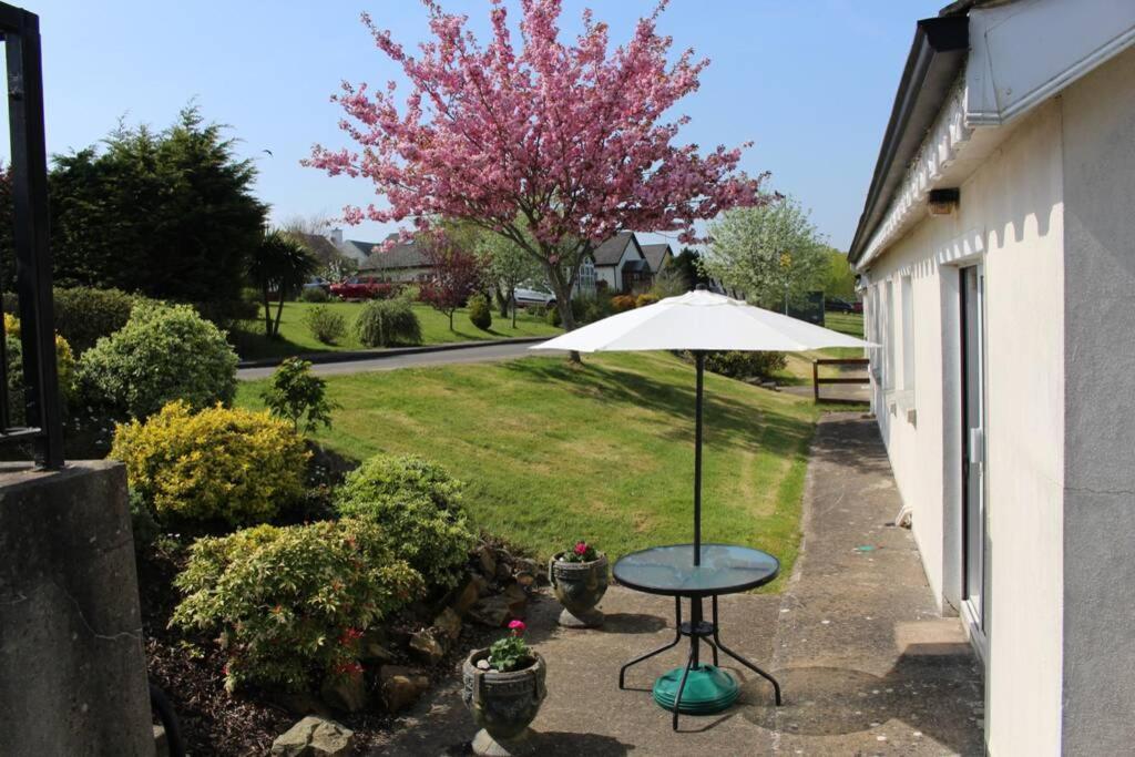 Sunny Bungalow Courtown Esterno foto